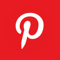 PINS logo